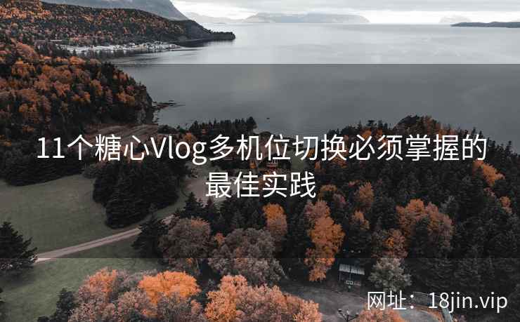 11个糖心Vlog多机位切换必须掌握的最佳实践