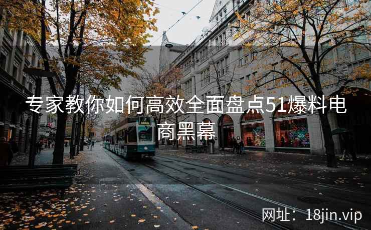 专家教你如何高效全面盘点51爆料电商黑幕