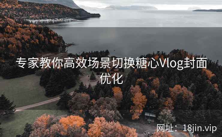专家教你高效场景切换糖心Vlog封面优化