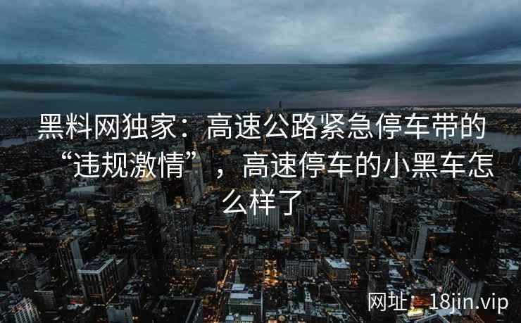 黑料网独家：高速公路紧急停车带的“违规激情”，高速停车的小黑车怎么样了