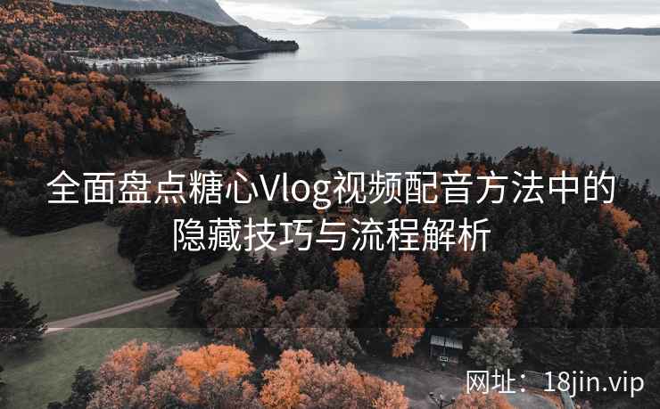 全面盘点糖心Vlog视频配音方法中的隐藏技巧与流程解析